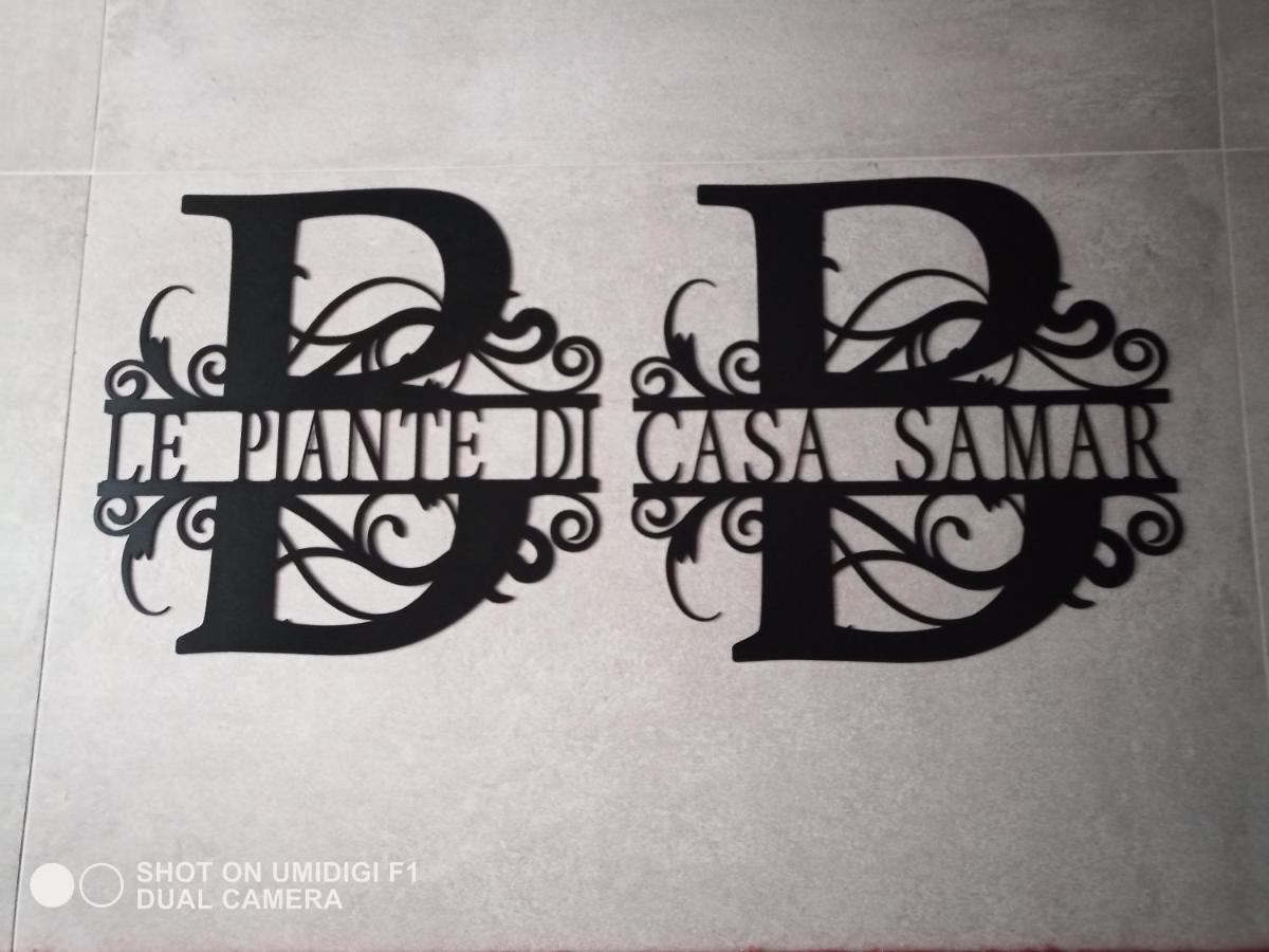 Bed and Breakfast Le Piante Di Casa Samar Castelguelfo Экстерьер фото